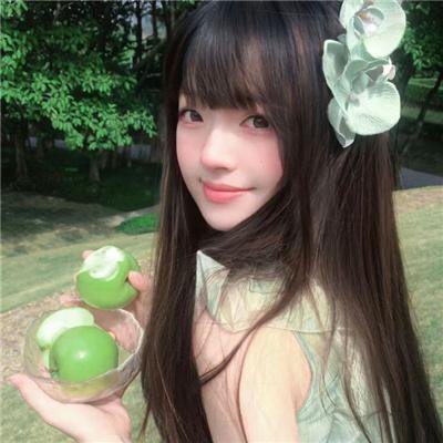 陆阿采与黄飞鸿